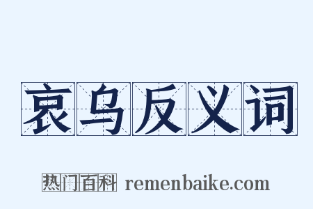 哀乌反义词是什么意思的图片